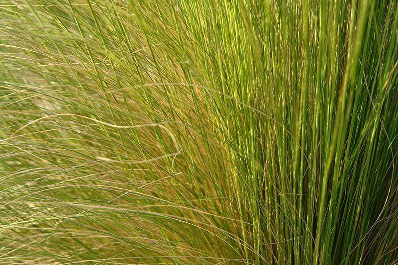 Nature photos